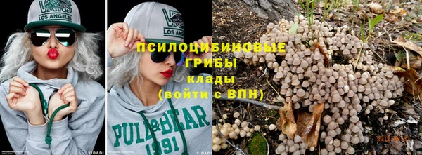сатива Вязьма