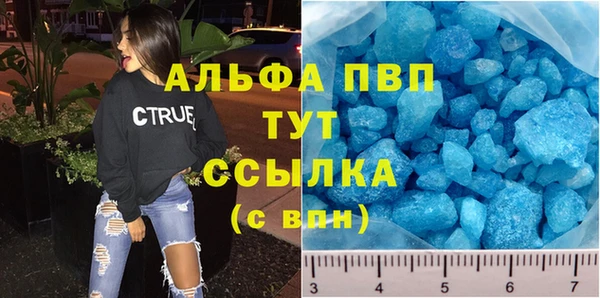 сатива Вязьма