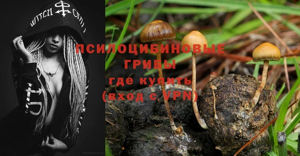сатива Вязьма