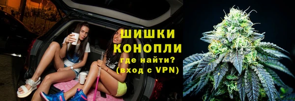 сатива Вязьма