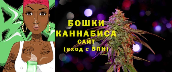 сатива Вязьма