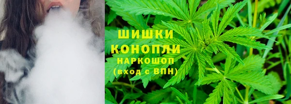 сатива Вязьма