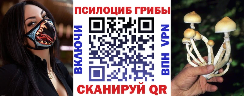 где продают   Медногорск  Галлюциногенные грибы ЛСД 