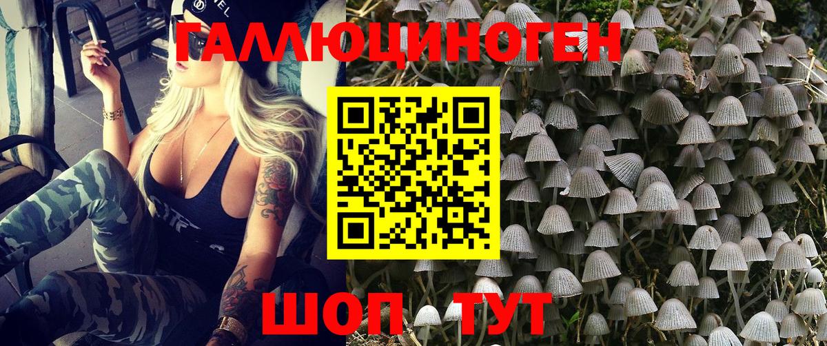 Псилоцибиновые грибы ЛСД Медногорск