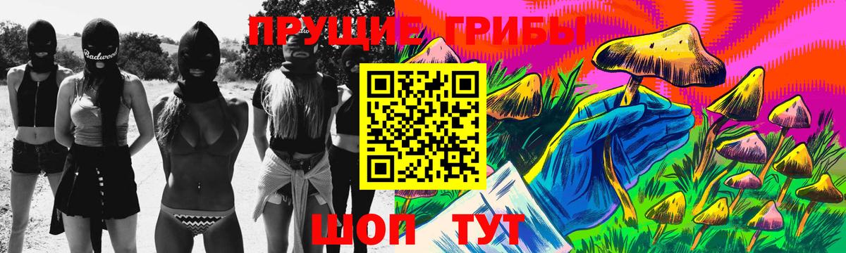 купить наркотики сайты  Медногорск  Псилоцибиновые грибы Psilocybine cubensis 