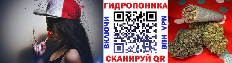 Шишки марихуана THC 21%  где купить наркоту  Медногорск 